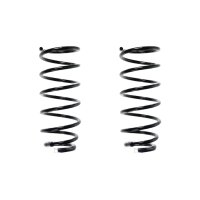Suspension spring set rear coil spring 300mm SPIDAN for...