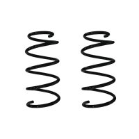 Suspension spring set rear coil spring 309mm SPIDAN for...