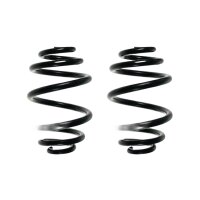 Fahrwerksfeder-Set hinten Schraubenfeder 264mm SPIDAN...