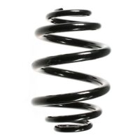 Fahrwerksfeder-Set hinten Schraubenfeder 224mm SPIDAN...