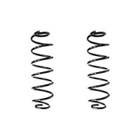 Fahrwerksfedern-Set hinten Schraubenfeder 363mm SPIDAN...
