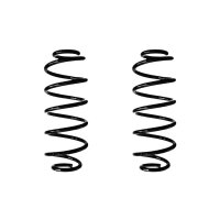 Fahrwerksfeder-Set hinten Schraubenfeder 319mm SPIDAN...