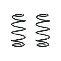 Fahrwerksfeder-Set vorne Schraubenfeder 298mm SPIDAN...