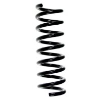Fahrwerksfeder-Set hinten Schraubenfeder 305mm SPIDAN...