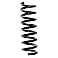 Suspension spring set rear coil spring 305mm SPIDAN for...