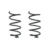 Suspension spring set front coil spring 302mm SPIDAN for...