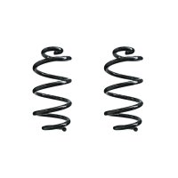 Fahrwerksfeder-Set hinten Schraubenfeder 304mm SPIDAN...