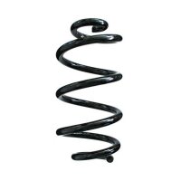 Fahrwerksfeder-Set hinten Schraubenfeder 304mm SPIDAN...