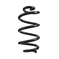 Fahrwerksfedern-Set hinten Schraubenfeder 304mm SPIDAN...