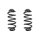 Fahrwerksfeder-Set hinten Schraubenfeder 338mm SPIDAN für BMW X5 (E70)