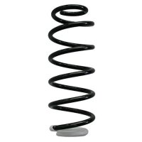 Fahrwerksfeder-Set hinten Schraubenfeder 292mm SPIDAN...