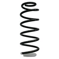 Suspension spring set rear coil spring 292mm SPIDAN for...