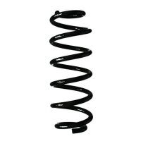Fahrwerksfeder-Set hinten Schraubenfeder 301mm SPIDAN...