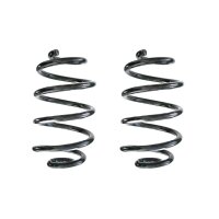Suspension spring set rear coil spring 253mm SPIDAN for...