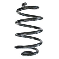Suspension spring set rear coil spring 253mm SPIDAN for...