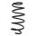 Fahrwerksfeder-Set vorne Schraubenfeder 319mm SPIDAN für FORD FIESTA V