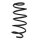 Suspension spring set front coil spring 319mm SPIDAN for FORD FIESTA V
