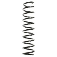 Fahrwerksfeder-Set hinten Schraubenfeder 410mm SPIDAN...