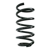 Fahrwerksfeder-Set hinten Schraubenfeder 310mm SPIDAN...
