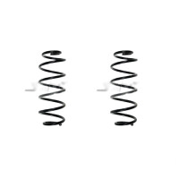 Fahrwerksfedern-Set hinten Schraubenfeder 311mm SPIDAN...