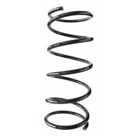 Fahrwerksfeder-Set hinten Schraubenfeder 422mm SPIDAN...