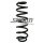 Fahrwerksfeder-Set hinten Schraubenfeder 352mm SPIDAN für VW TIGUAN (AD1)