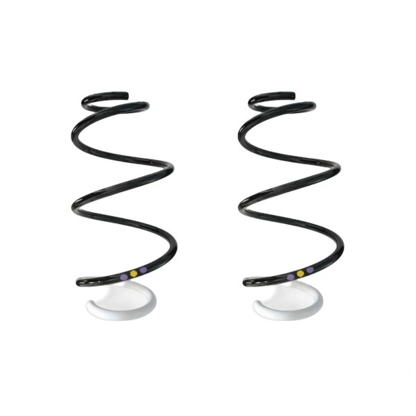Fahrwerksfedern-Set vorne Schraubenfeder 339mm SPIDAN für u.a. RENAULT CAPTUR I