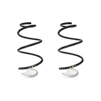 Fahrwerksfedern-Set vorne Schraubenfeder 339mm SPIDAN...