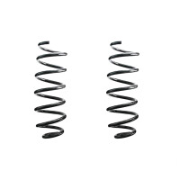 Suspension spring set rear coil spring 322mm SPIDAN for...