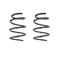 Fahrwerksfeder-Set vorne Schraubenfeder 310mm SPIDAN...