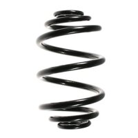 Fahrwerksfeder-Set hinten Schraubenfeder 236mm SPIDAN...