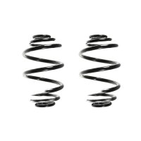 Suspension spring set rear coil spring 236mm SPIDAN for...