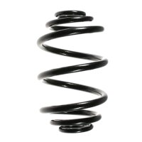Suspension spring set rear coil spring 236mm SPIDAN for...