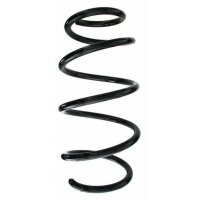 Fahrwerksfeder-Set vorne Schraubenfeder 314mm SPIDAN...