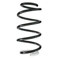 Fahrwerksfeder-Set vorne Schraubenfeder 287mm SPIDAN...