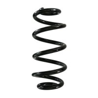 Fahrwerksfeder-Set hinten Schraubenfeder 268mm SPIDAN...