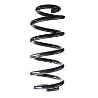 Fahrwerksfeder-Set hinten Schraubenfeder 269mm SPIDAN...