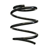 Fahrwerksfeder-Set vorne Schraubenfeder 223mm SPIDAN...