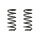 Suspension spring set rear coil spring 254mm SPIDAN for MINI MINI Cabriolet