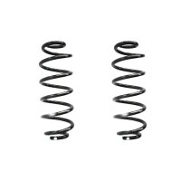 Fahrwerksfeder-Set hinten Schraubenfeder 323mm SPIDAN...