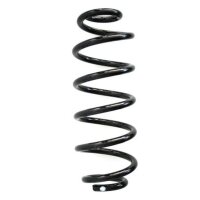 Fahrwerksfeder-Set hinten Schraubenfeder 323mm SPIDAN...