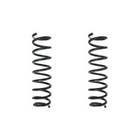 Fahrwerksfedern-Set hinten Schraubenfeder 362mm SPIDAN...