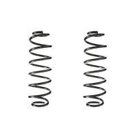Fahrwerksfeder-Set SPIDAN für VW POLO V