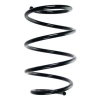 Fahrwerksfeder-Set vorne Schraubenfeder 287mm SPIDAN...