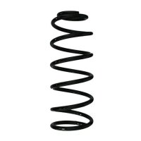 Fahrwerksfeder-Set hinten Schraubenfeder 328mm SPIDAN...