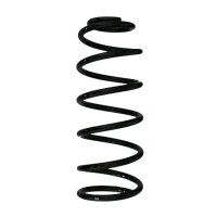 Suspension spring set rear coil spring 328mm SPIDAN for...
