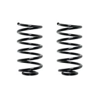 Fahrwerksfeder-Set hinten Schraubenfeder 205mm SPIDAN...