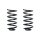 Fahrwerksfeder-Set hinten Schraubenfeder 205mm SPIDAN für SMART ROADSTER Coupe