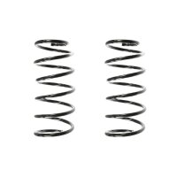 Suspension spring set front coil spring 318mm SPIDAN for...