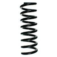 Fahrwerksfeder-Set hinten Schraubenfeder 310mm SPIDAN...